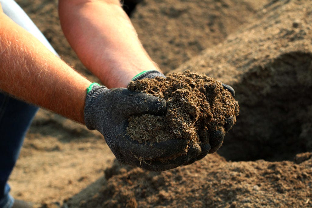 Gloved hands holding soil after processed manure dry matter has been added to meet fertilizer regulations in Canada.